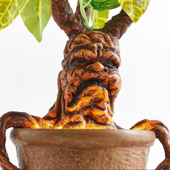 Pottery Barn World of Harry Potter Herbology Lit Mandrake Root from Hogwarts - Picture 4 of 9